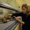 Hungate Exhibition Photo by York Evening Press